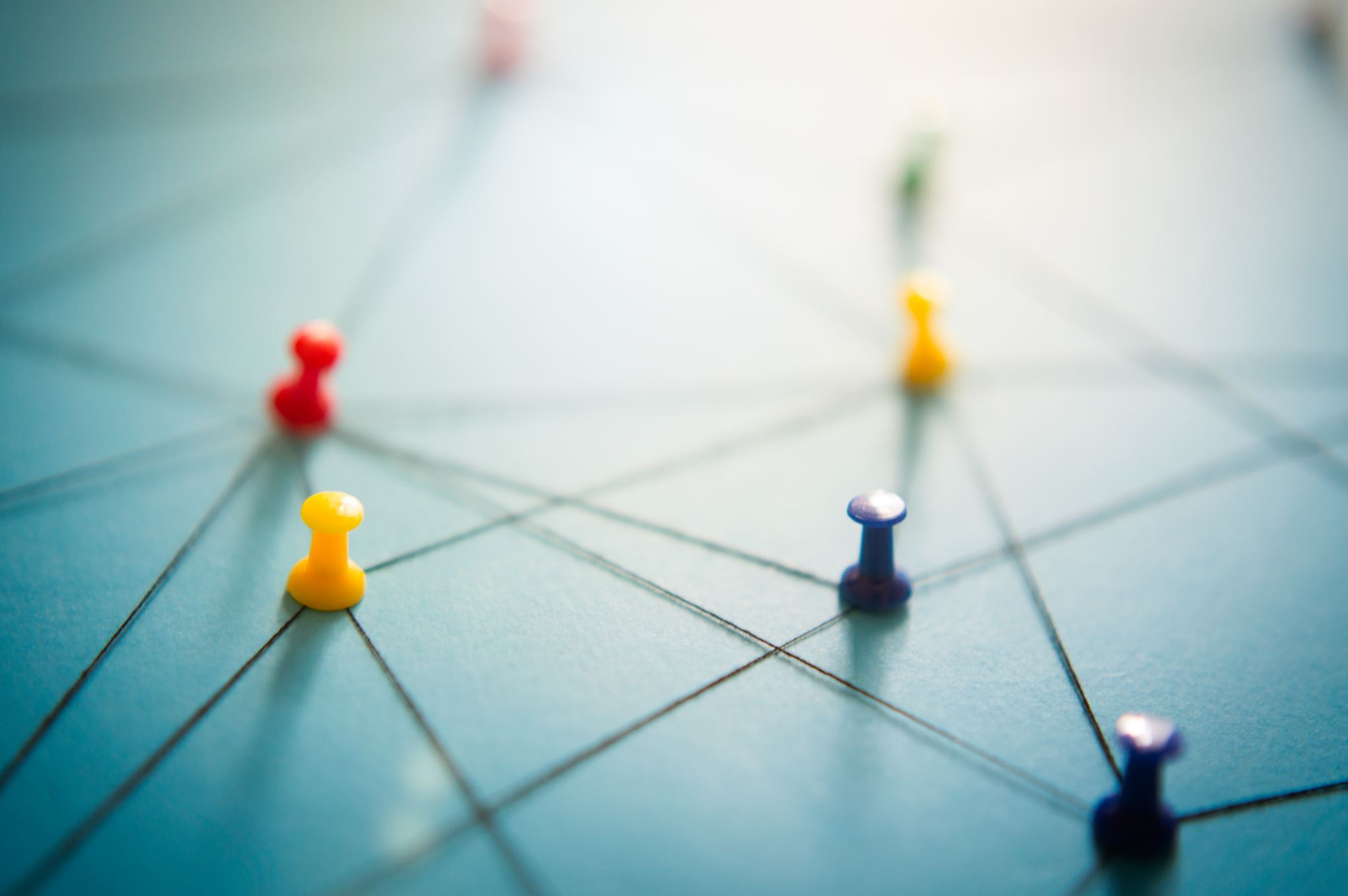 Netwerk-met-punaises